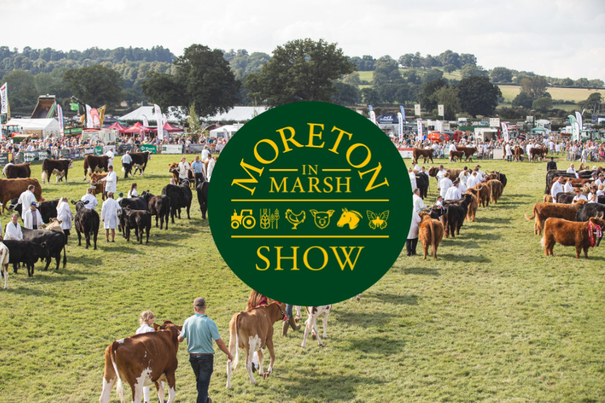 Morton show